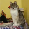Отзыв от Оксана Черная